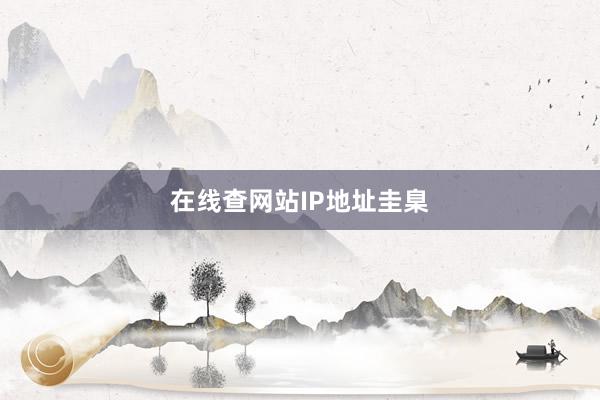 在线查网站IP地址圭臬