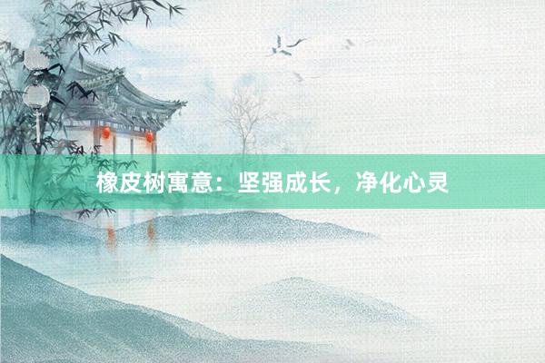 橡皮树寓意：坚强成长，净化心灵