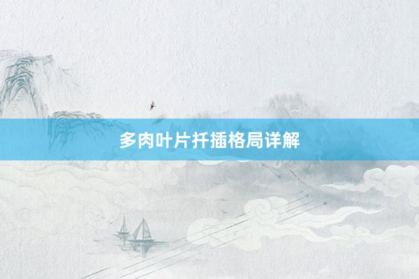 多肉叶片扦插格局详解