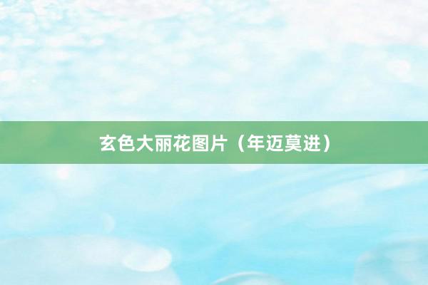 玄色大丽花图片（年迈莫进）